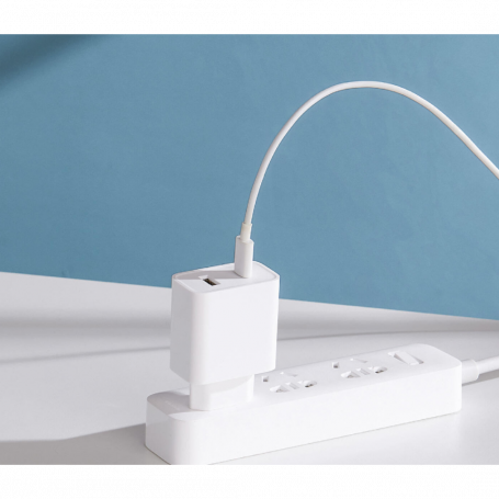 Adaptateur Secteur USB-C USB Chargeur Mural Xiaomi 33W