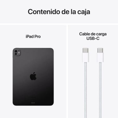 iPad Pro 11" (5e génération) 256 Go Cellular - Noir - Neuf