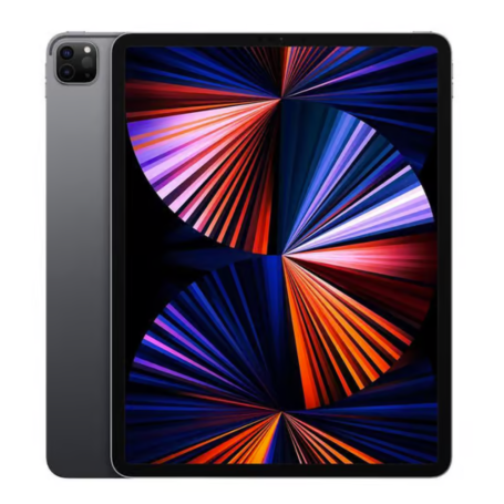 iPad Pro 12,9" (5e génération) 256 Go Cellular - Gris sidéral - Grade AB