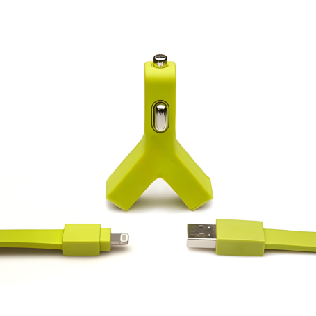 Kit chargeur de voiture USB*2 + câble Lightning TYLT 2,1A MFi